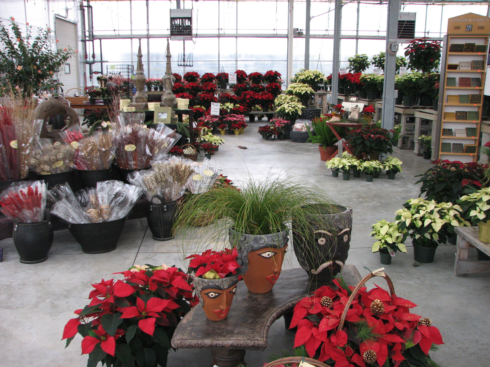 IMG_1433 The Bloomin' Gardener